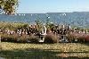 The Cottages on Charleston Harbor, The Cottages on Charleston Harbor, Mount Pleasant