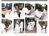 Platinum Graphics Weddings, New Orleans