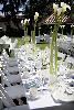 Master Plans Events, Torrance — Master Plans Events is a full service company offering planning, decor, floral and rental services.  We want you to be a guest at your own event and let us take care of all the details.