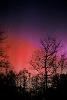 Ronale Zincone Photography, West Kingston — Northern Lights