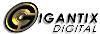 Gigantix Digital, Phoenix — If a picture says a thousand words, what does a video say? We do it all, from High Definition Cameras, editing, and DVD mastering to Rental Projectors/Screens. Our vast experience with live events has taught us that you only get "one shot," trust us to get it right. Check out our Special 4 hr Live Event Video Package for just $899! Includes either 2 Digital (Standard) Cameras or 1 High Definition Camera, Basic Editing, 3 DVD's or VHS tapes.  Or reserve our Audio/Visual rental package for Corporate Meetings, Parties, Weddings, Concerts, even a Dive-In Movie or Backyard Theater for only $249!