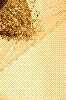 Click to see Profile