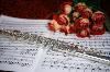 J&M Flutes, Rock Hill