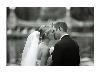 Robert Castagna Photography, Medford — Robert Castagna Photography photograph taken at the Boston Public Garden.