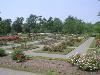 Delaware Park Marcy Casino, Buffalo Olmsted Parks Conservancy, Buffalo — Rose Garden behind Marcy Casino