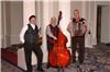 Steven Vance Strolling Violins, Pittsburgh — Add a little European flair with the Cafe Trio -Violin, Accordion, and Bass -playing French, Italian, Spanish, and American favorites and more.  Also available in Duo of Violin and Accordion.