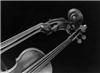 Loran Strings, Fort Collins