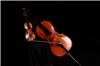 Loran Strings, Fort Collins