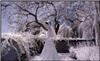 Scott A. Nelson Orange County Wedding Photographer, Newport Beach — Infrared Image in Beverly Hills CA by Scott A. Nelson wedding
photographer