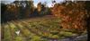 Tent, Crown Winery LLC, Humboldt