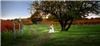 Entire Facility, Crown Winery LLC, Humboldt