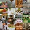 Rocklands Catering, Alexandria