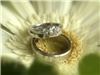 Barksdale Photography, Twin Falls — "Definitely a keeper. :)"   Zack and Ellen