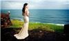 Steve Lee Weddings, Houston