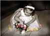 Royal Photography, Wilmington
