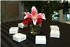Calloway Event Planning & Design Studio