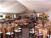 The Moonlight Grove (Tent), Chardonnay Golf Club, Napa
