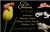 Pez Photography, Laramie — All sessions are done on location at this time.