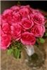 Polished Planning & Events, Greenville