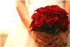An Affair to Remember Wedding and Event Planning, Naples