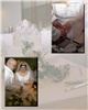 Portraits Remembered, Bolingbrook