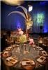 Gloriosa Design, Atlanta — We are a full service special event company on the cutting edge of event design.Gloriosa has served the Atlanta community since 1987 in food preparation and presentation, floral design and integration, and event enhancement and production. Using only referral as a means of advertisement,Gloriosa continues to thrive and grow in the special event and catering industries of the Atlanta area and beyond. Gloriosa is committed to introducing and delivering its mission of excellence to its corporate and private clientele; be it the world-renowned Coca-Cola Enterprises, Cirque du Soleil, or some of Atlanta's most beloved non-profit organizations, long-time residents and annual visitors.