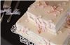 Bliss Photography LLC, Greenville — cake