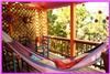Lost Parrot Cabins, Austin