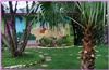 Lost Parrot Cabins, Austin