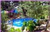 Lost Parrot Cabins, Austin