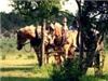 Rancho Cortez, Bandera