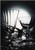 Platinum Entertainment DJ Service, New Milford