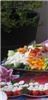 Sutter's Catering Service, Tucson