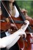 CelebrationMusicians.com, Miami