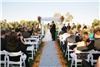 Rita's Floral Designs LLC, Phoenix
