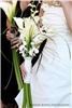 Rita's Floral Designs LLC, Phoenix