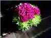 Rita's Floral Designs LLC, Phoenix