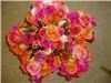 Rita's Floral Designs LLC, Phoenix