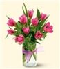Rainbow's End Floral, Kingsport