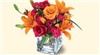 Rainbow's End Floral, Kingsport