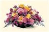 Rainbow's End Floral, Kingsport