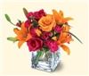 Rainbow's End Floral, Kingsport