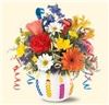 Rainbow's End Floral, Kingsport
