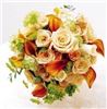Phillip's Flowers & Gifts, Westmont