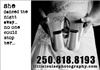 Click to see Profile
