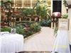 Wedding And Events To Remember, Alpharetta
