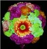 Click to see Profile