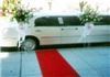 Austin Cobalt Limousines, Austin