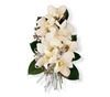 Rutland Beard Florist Of Ruxton, Baltimore