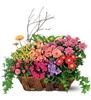 Rutland Beard Florist Of Ruxton, Baltimore